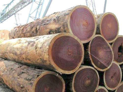 Cameroon exported more than 1 million m3 of woods in 2017
