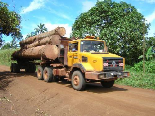Cameroon wants to increase lumber export tax from 2017