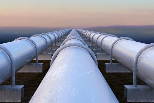 Hydrocarbons: Industry actors roll up sleeves to build the Central African Pipeline System