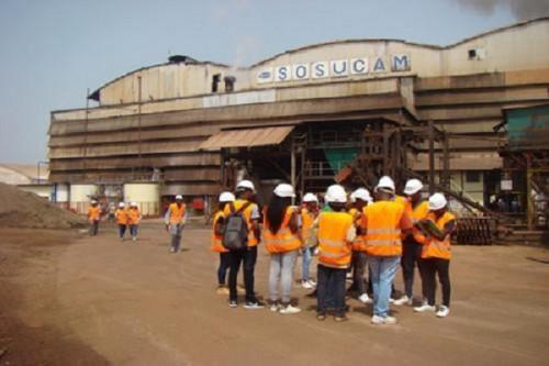 Sosucam resumes activities in its Mbandjock unit