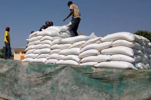 Cameroon exports 70% of its rice production to Nigeria (BMN)