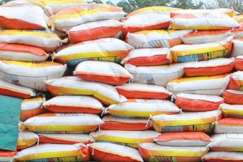 Cameroon: XAF87 bln of rice was fraudulently reexported in 2019, INS reveals