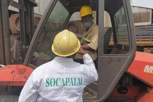 Socapalm expects 9.5% increase in profit by the end of 2022, despite unfavorable environment