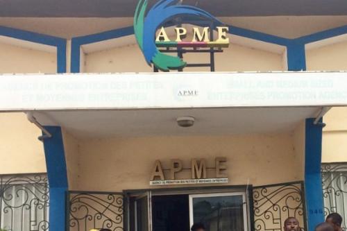 APME and the Diaspora African Women’s Network partner to promote women entrepreneurship in Cameroon