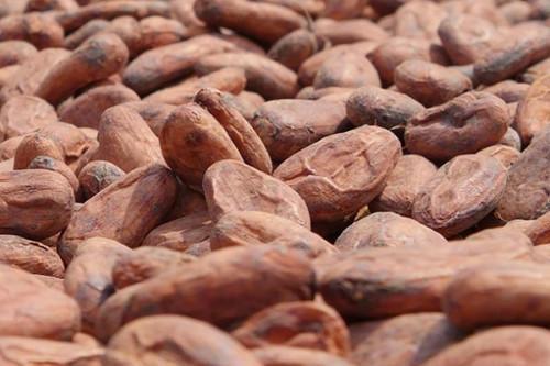 The cocoa price cap rises again, after 6 weeks of stagnation