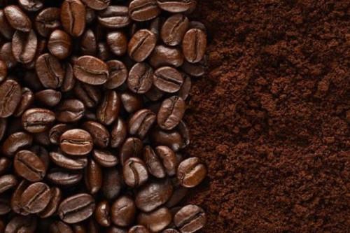 Cameroon inaugurates a new coffee processing unit in the Northwest