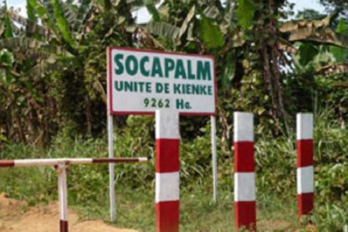Cameroon: Improvement in palm oil sales volume boosts Socapalm’s H1-2021 net profit by 40.5% YoY