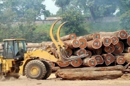 Exports: Cameroon’s performance is constant but still lags in the CEMAC region