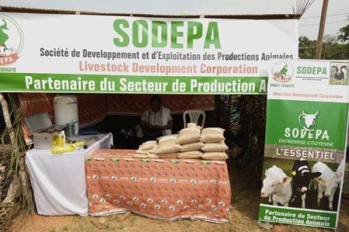 Livestock development corporation SODEPA partners with farmer field school EPAB to boost cattle farming in forest zones
