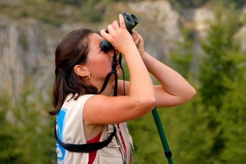 Cameroon: Government plans to develop birding tourism to boost the tourism sector after Covid-19