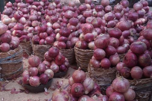 Cameroon plans to raise onion production to 200k tons this year through IFAD-funded program PADFA