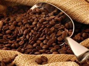 cameroon-coffee-production-bounced-back-after-bad-2020-21-season