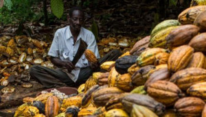 &quot;Destination chocolatiers engagés&quot;, a label aimed at improving Cameroonian cocoa quality launched in Paris