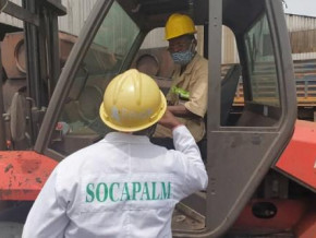 socapalm-expects-9-5-increase-in-profit-by-the-end-of-2022-despite-unfavorable-environment
