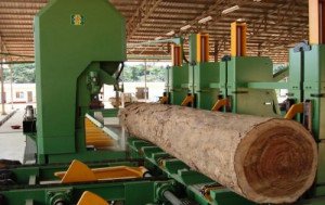 Cameroon: Wood exports up 25% y/y in value, in 2018