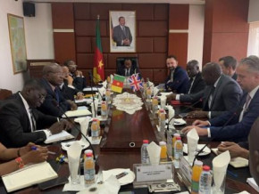cameroon-welcomes-a-delegation-of-british-investors
