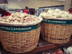 new-carrefour-supermarket-in-bonaberi-to-feature-at-least-27-local-products