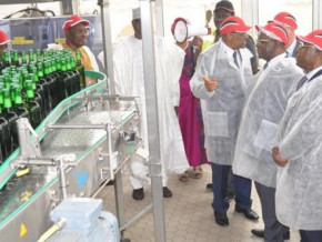 cameroon-s-brewing-industry-calls-for-govt-intervention-amid-escalating-costs