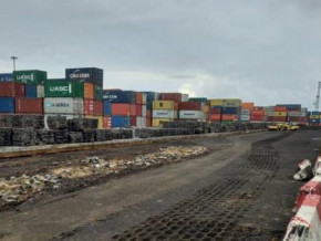 the-port-authority-of-douala-launches-the-container-terminal-renovation