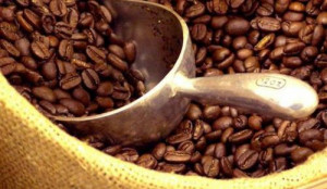 Cameroon: The coffee sector is still declining