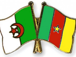 algerian-economic-operators-to-conduct-exploration-mission-in-cameroon-next-january-22-27