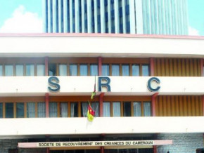 cameroon-src-to-recover-cfa34bln-in-bad-debt-from-ubc