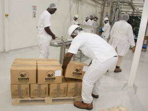 cameroon-s-govt-misses-50-cocoa-processing-target-only-achieves-29-5-in-2021-22