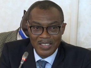 cameroon-afdb-to-boost-investments-in-the-private-sector