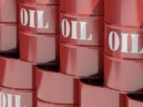foreign-trade-togo-became-cameroon-s-leading-african-supplier-of-petroleum-products-in-2020-ins