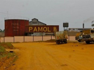Palm oil sector: The South-West region&#039;s crisis affects CDC and Pamol’s production