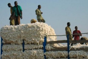 Cameroon is the 6th supplier of cotton to China, with 4,920 tons during first semester 2017