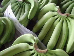 In 2017, PHP, leader in the Cameroonian banana market, is fearing “a disaster if prices do not increase”