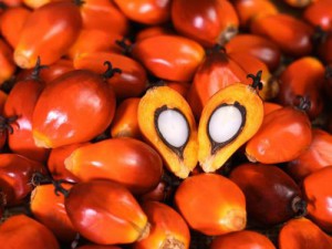 In 2nd quarter 2017, Cameroon imported 2,000 tons of palm oil from Gabon