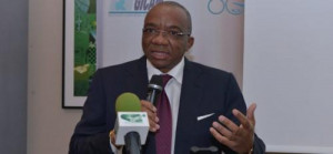 Cemac: Unipace suggests solutions to curb currency shortage