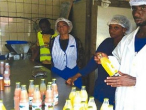 afdb-supports-the-training-of-over-500-young-agripreneurs-in-cameroon