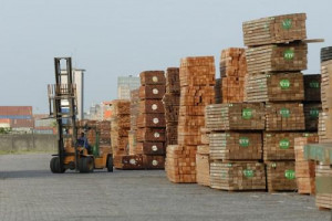 Despite stronger wood exports to China, Cameroon remains minor supplier to the country