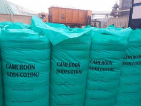 cameroon-beac-forecasts-cotton-production-to-decline-in-q3-2022