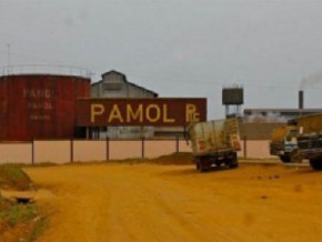 cameroon-attack-on-public-agribusiness-site-pamol-leaves-four-dead