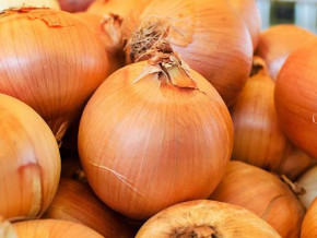 cameroon-announces-significant-investment-to-strengthen-onion-industry