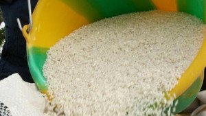 Cameroon: Rice import spending grew by 27.9% to CFA183.7bn in 2017