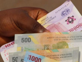 cameroon-s-2023-bond-issue-private-investors-contributed-cfaf22bln-report