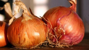 Cameroon: Padfa provides improved onion seeds that significantly increase production