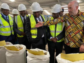 noutchogouin-group-inaugurates-cfa5bn-animal-feed-production-plant-in-yaounde