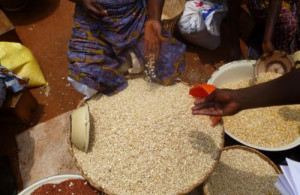 Cereal prices increased by 38% within March-May 2018 in the Far-North