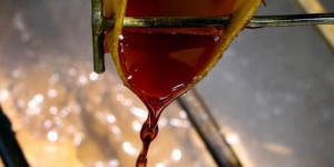 Gabon seeks to export crude palm oil to Cameroon