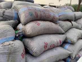 cameroonian-customs-seizes-18-4-tons-of-cocoa-beans-bound-for-nigeria