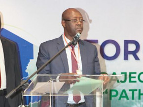 cemac-beac-pushes-for-green-bonds-to-stimulate-stock-market