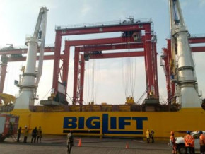 douala-port-authority-boosts-efficiency-with-the-arrival-of-eight-new-gantry-cranes