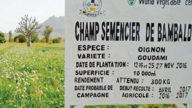cameroon-govt-plans-to-sell-47-seed-farms-to-the-private-sector