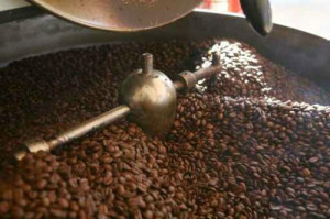 Cameroon: Local coffee processing fell to 962 tons in 2017-18